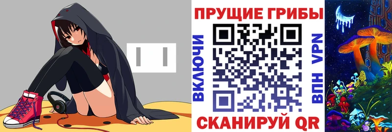 Купить где  Кувандык  Псилоцибиновые грибы Psilocybe 